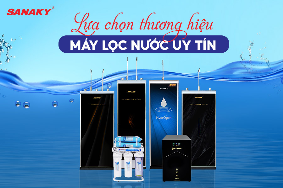 The Current State of Domestic Water Supply in Vietnam: Challenges and Prospects