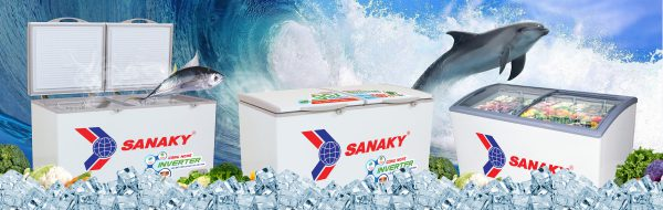 SANAKY Has the Right Size – No Matter Your Storage Needs